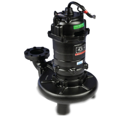 Mody Pumps